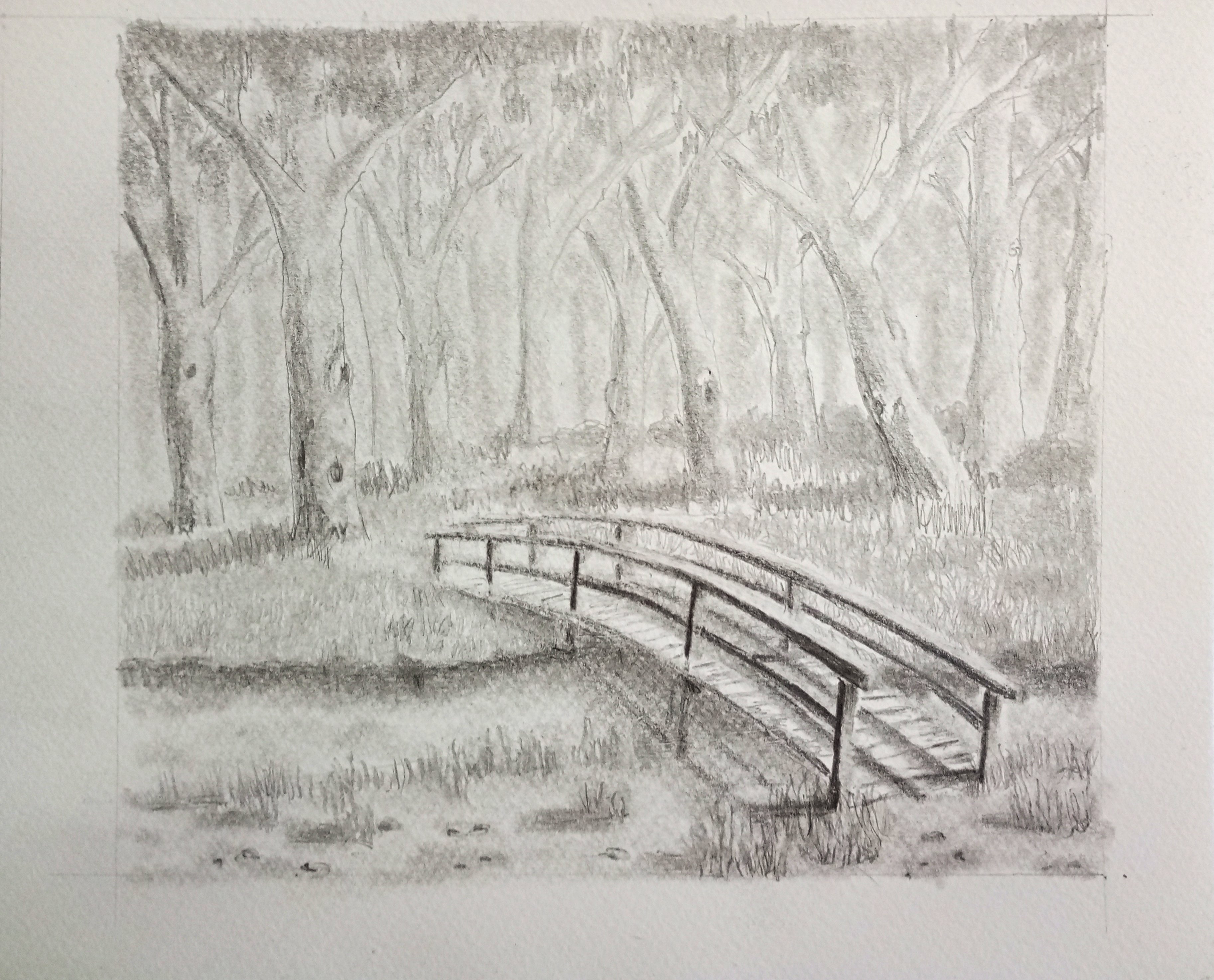 Bridge in the Bush