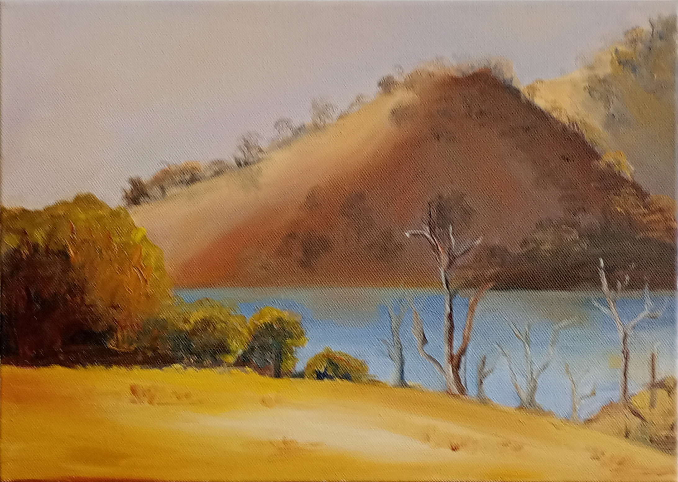 Australian Landscape