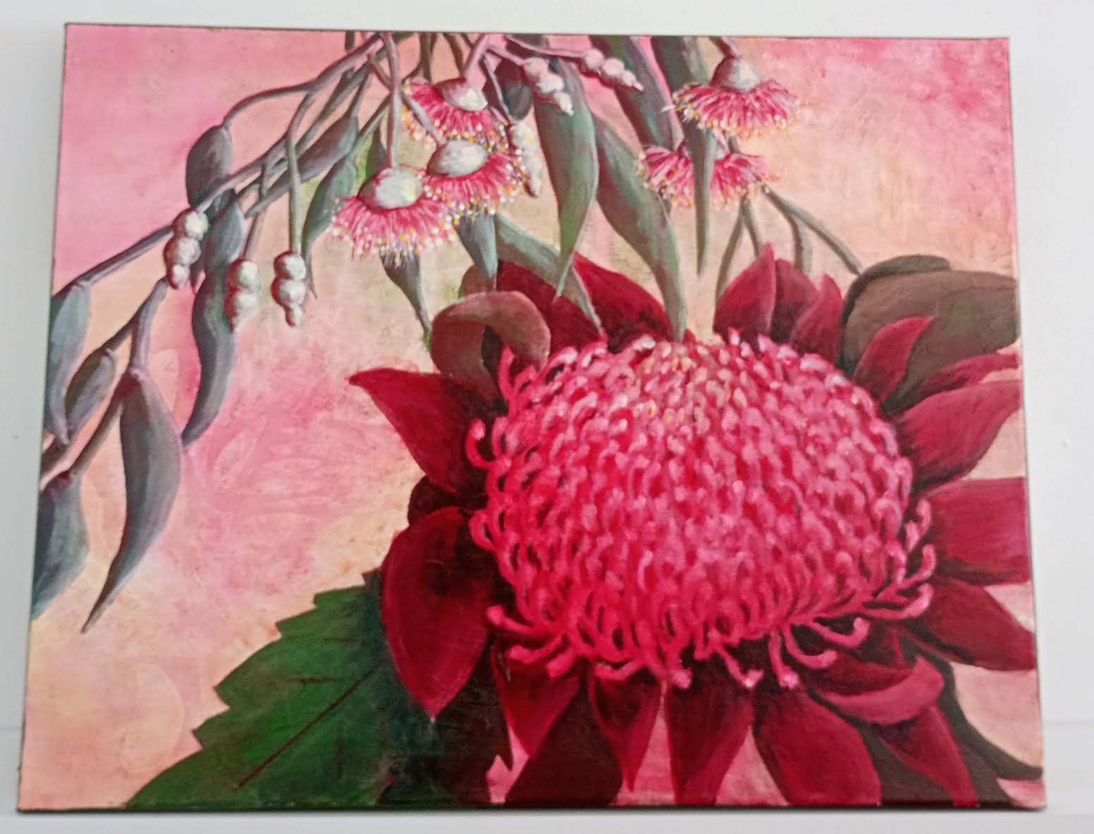 Waratah