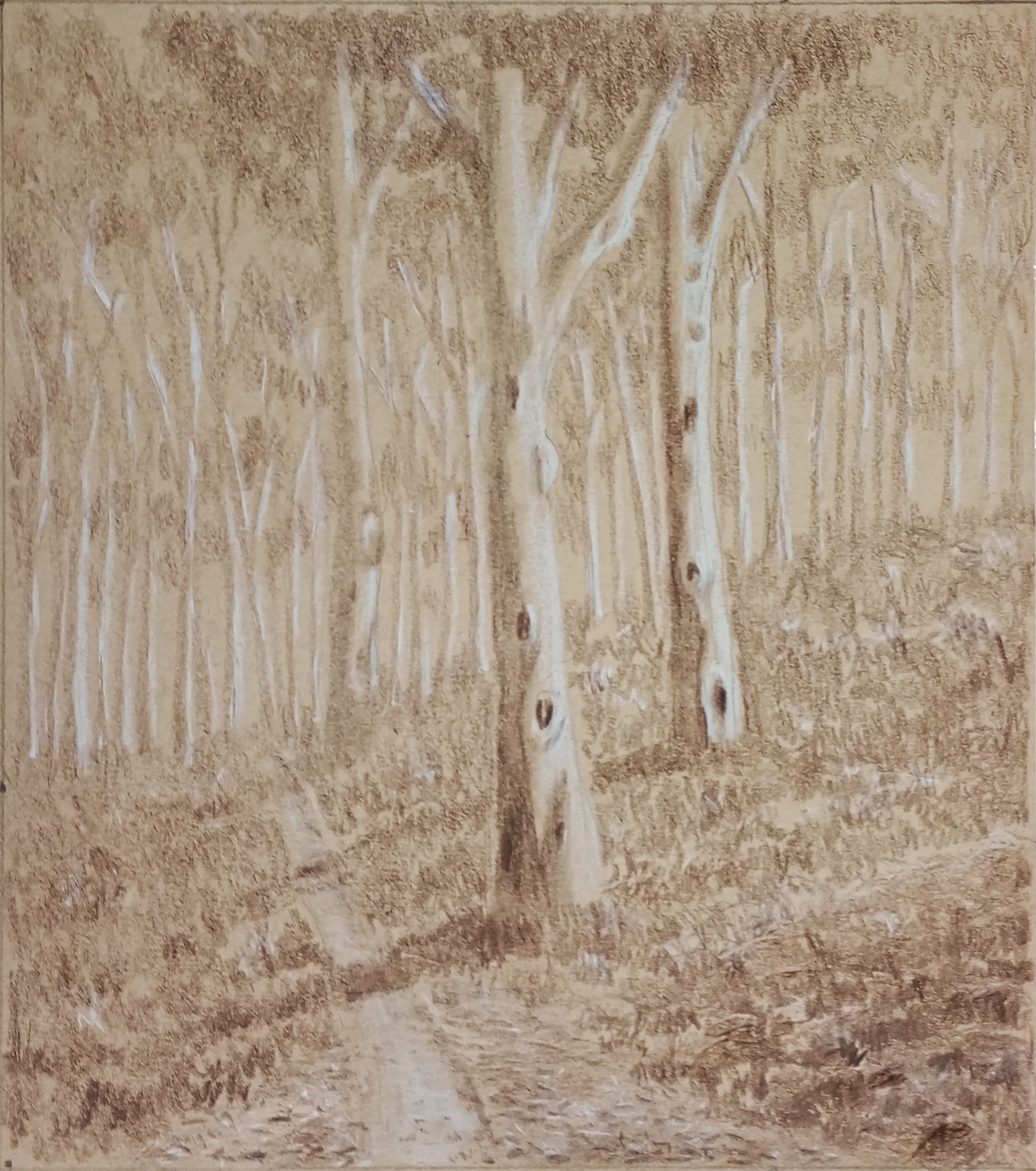 Gum Forest
